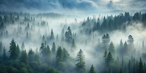Thick fog enveloping a mystical forest , mist, haze, trees, ethereal, mysterious, atmospheric, eerie, woodland, nature