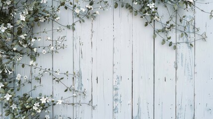 Vintage design background with white wooden wall and climbing plant texture