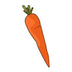 Leaf spring icon illustration isolated on white