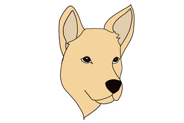 vector illustration of dog head, cute puppy