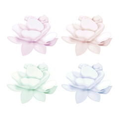 Fototapeta premium 64 Detailed watercolor flower illustration, Elegant watercolor spring flowers set