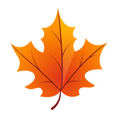 Hand drawn autumn leave illustration isolated on the white