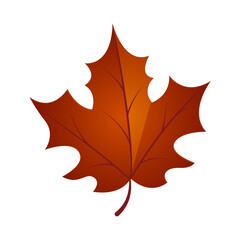Obraz premium Hand drawn autumn leave illustration isolated on the white background