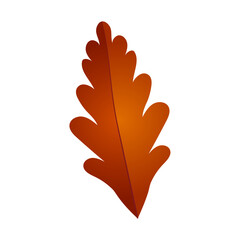 Hand drawn autumn leave isolated on white background