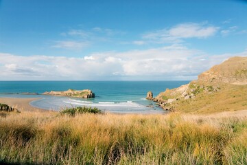 Heavy waves hitting the Beach at Castlepoint © Louis