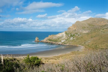 Heavy waves hitting the Beach at Castlepoint © Louis