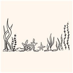 Underwater world, seabed, nature. Kelp algae, reef corals, bubbles With illustration style doodle and line art © Pukskup