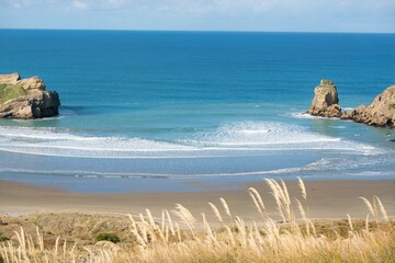 Heavy waves hitting the Beach at Castlepoint © Louis