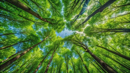 Lush green forest canopy seen from a vertical perspective , Carbon neutrality, sustainability, eco-friendly, nature