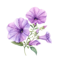 A painting of two purple flowers with green leaves. The painting has a serene and calming mood, as the colors are soft and muted. Isolated on PNGs transparent background