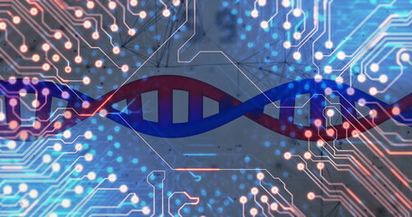 Image of dna strand and data processing over computer circuit board