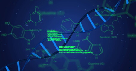 Image of dna strand and data processing over blue background
