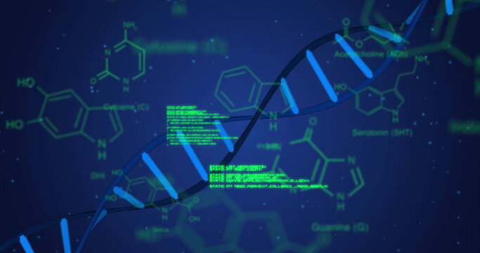 Image of dna strand and data processing over blue background