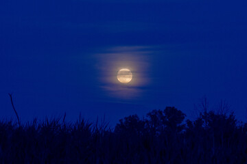 Full summer moon masked by clouds