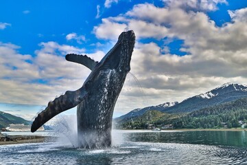 Juneau, Alaska © Paul James Bannerman