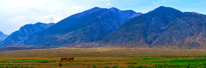 Fototapeta premium Idaho Hwy I-93 Summer Road Travel Landscape along the Peaks to Craters Scenic Byway U.S. Route 93: The Beauty of the Lost River Mountains and Valley