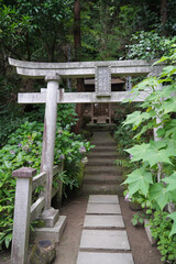 日本、神奈川県、鎌倉最古の寺、杉本寺、すぎもとでら