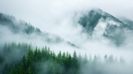 Fototapeta premium Mystical scene of mountains veiled in clouds, adorned with ancient charms hanging from trees, soft magical mist enveloping the forest, serene ambiance