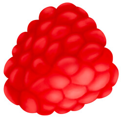 raspberry