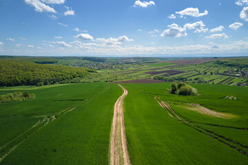 Aerial landscape of green farmland in summer season with growing crops. Agricultural cultivated field. Farming and agriculture industry
