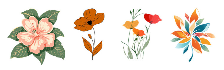 Obraz premium Colorful Flower Arrangements in Black Background
