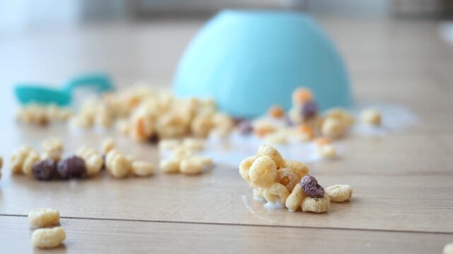Spilled breakfast cereal on floor