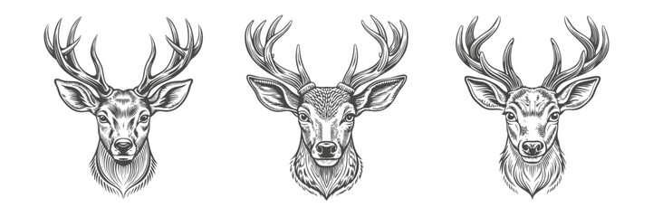 set of deer head black and white hand drawn vector illustration