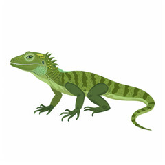 Obraz premium Green iguana vector illustration on a white background