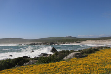 atlantic ocean coast