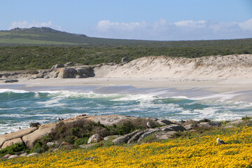 atlantic ocean coast