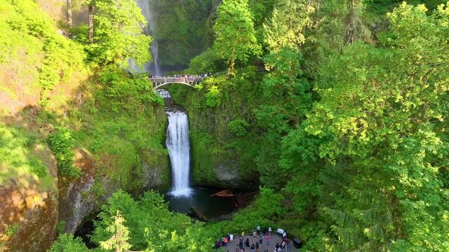 Aerial View of Multnomah Falls with Benson Bridge in Columbia Gorge