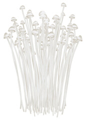 Golden Needle Mushroom