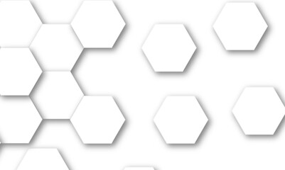 Vector technology background with hexagon concept design. Embossed Hexagon , honeycomb white shadow. Luxury White 3D futuristic honeycomb mosaic white background.