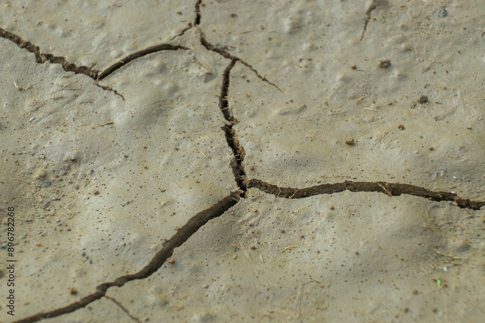 Poster abstract shapes, patterns and textures of ground cracks. the land is starting to dry out because of 