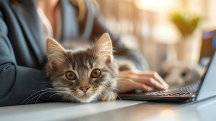 A businesswoman in a suit petting a cat on her desk focus on, stress relief, realistic, Multilayer, home office.
