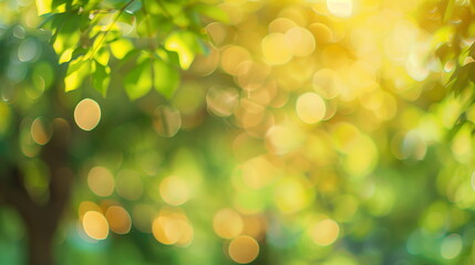 Obraz premium Green Leaves with Sunlight Bokeh