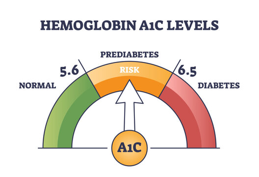 Hemoglobin A1C test for prediabetes and diabetes checkup outline diagram, transparent background.Labeled educational scheme with bloodstream glucose level measurement illustration.