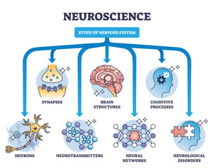 Neuroscience as study of nervous system medical division outline diagram, transparent background. Labeled educational field scheme with synapses, brain structures.