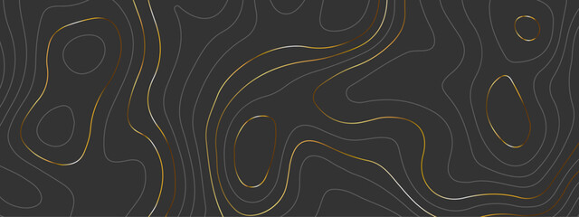 Luxury golden topographic wavy curve line background. Topography map pattern, Geographic curved relief. Topographic gold lines background. Vector illustration.