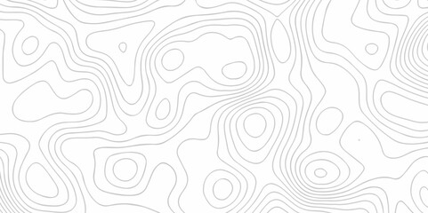 Abstract pattern with lines seamless topography map and counter map.  geometric grid outline sea map area space geometric line technology topo landscape grid map texture.