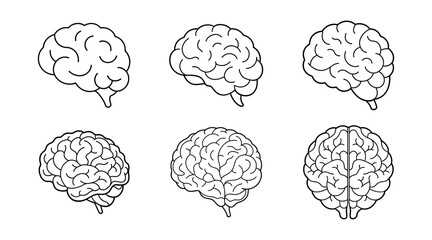 Set of Human Brain Line Art Illustration 