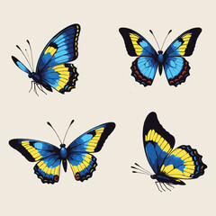 Colorful Butterfly Illustrations Set