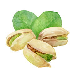 ピスタチオ3粒の水彩イラスト