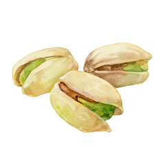 3粒のピスタチオ　水彩イラスト