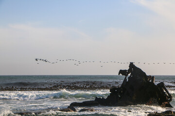 Fototapeta premium sea and rocks