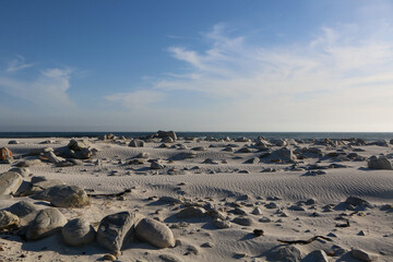 sand dunes on the beach