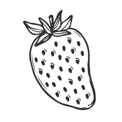 Strawberry vector line icon in doodle style. Symbol in simple design. Cartoon object hand drawn isolated on white background.