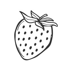 Strawberry vector line icon in doodle style. Symbol in simple design. Cartoon object hand drawn isolated on white background.