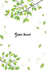 Obraz premium 葉っぱのシンプルフレーム_1