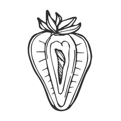 Vector strawberry half line art drawing hand drawn botanical outline illustration.